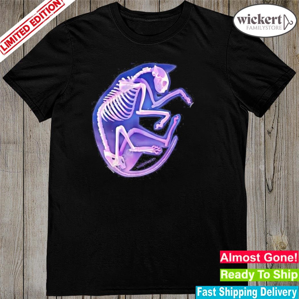 Official Wingedwolf94 Skeleton Galaxy Cat shirt