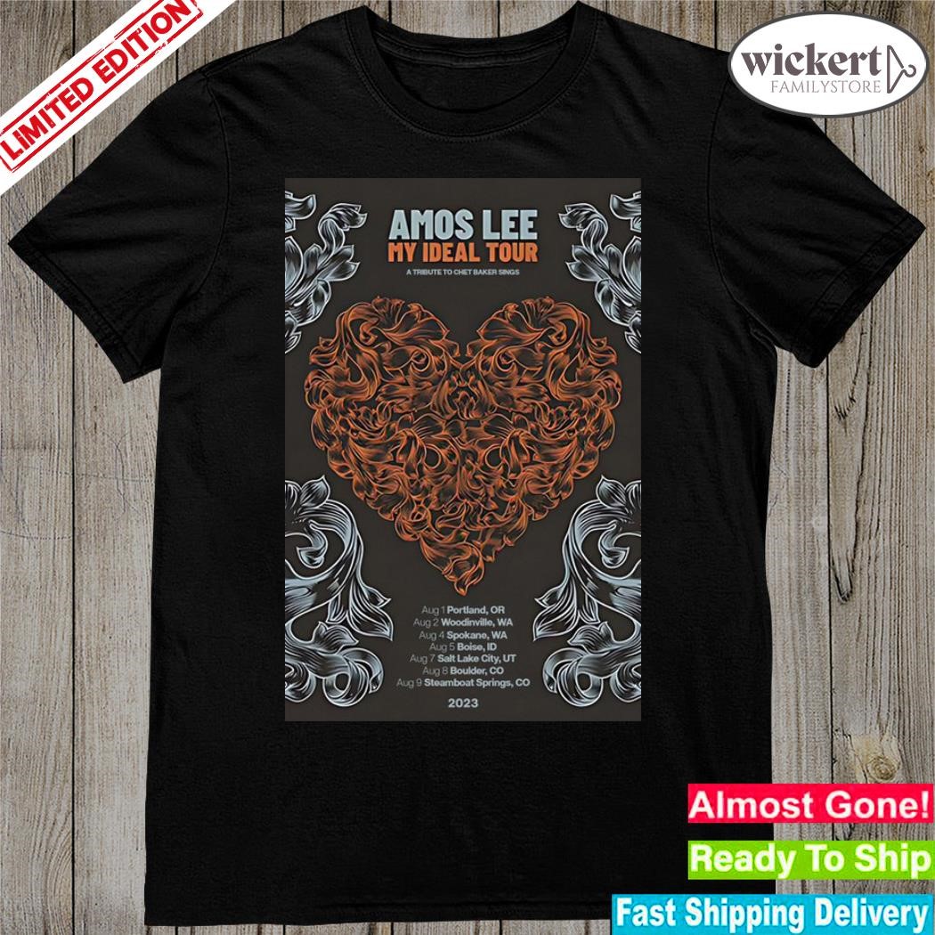 Official amos lee my ideal 2023 tour poster shirt