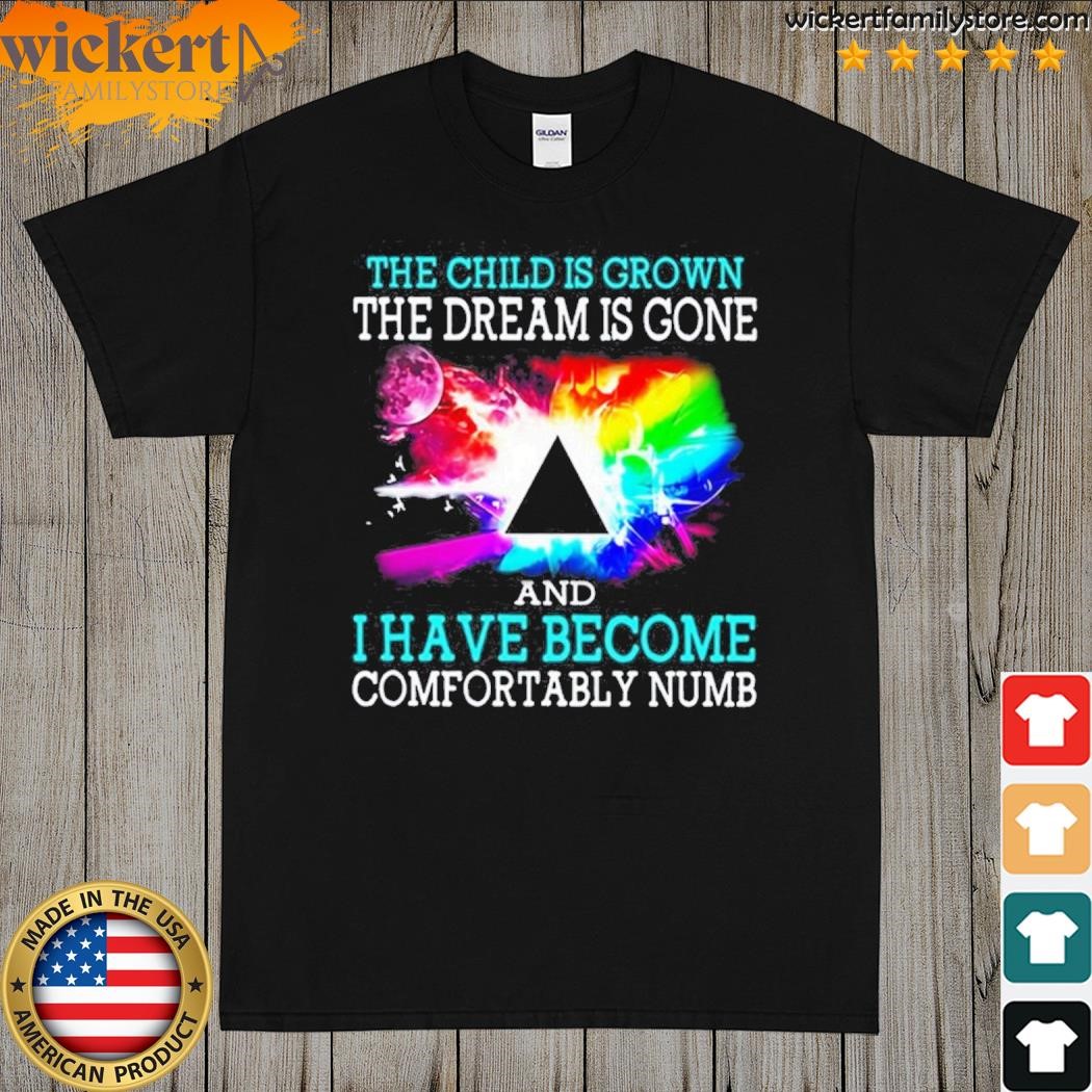 Pink Floyd The Child Is Grown The Dream Is Gone And I Have Become Comfortably Numb T-Shirt